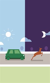 flyer-de ree_Ochtend- en avondspits