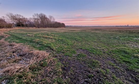 Provincie koopt ruilgrond aan op Kop van Goeree